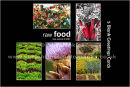 raw food